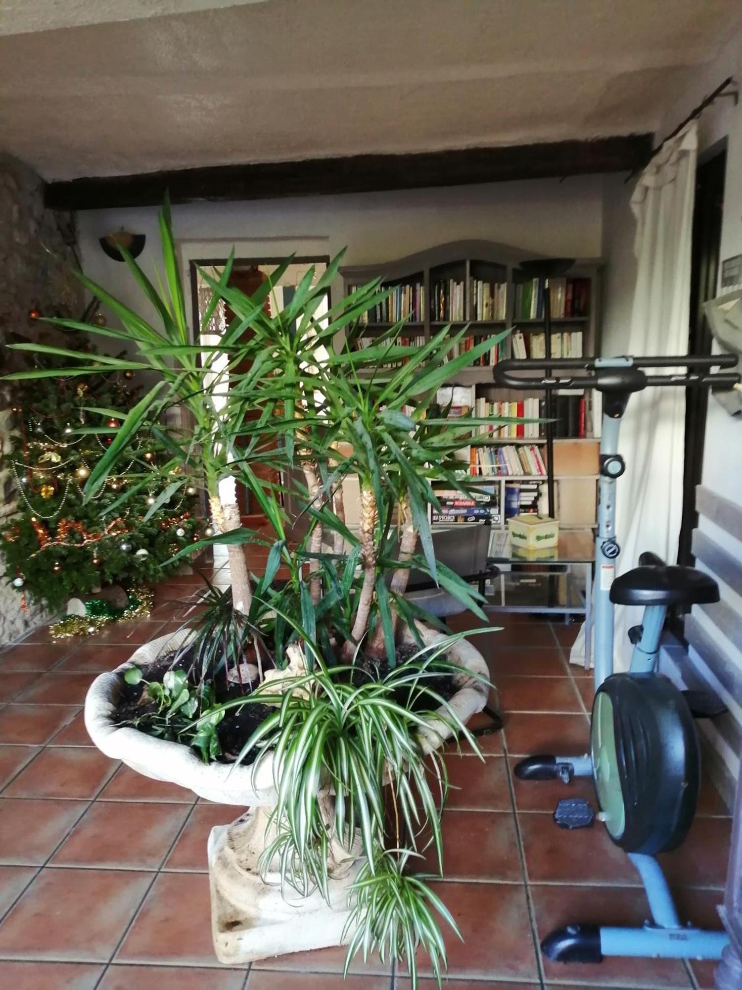 Belle Maison De Caractere Dans Village Et Sa Piscine Privee 7 Pers- 3 Chambres - 12 Rue Emile Zola Millas Buitenkant foto